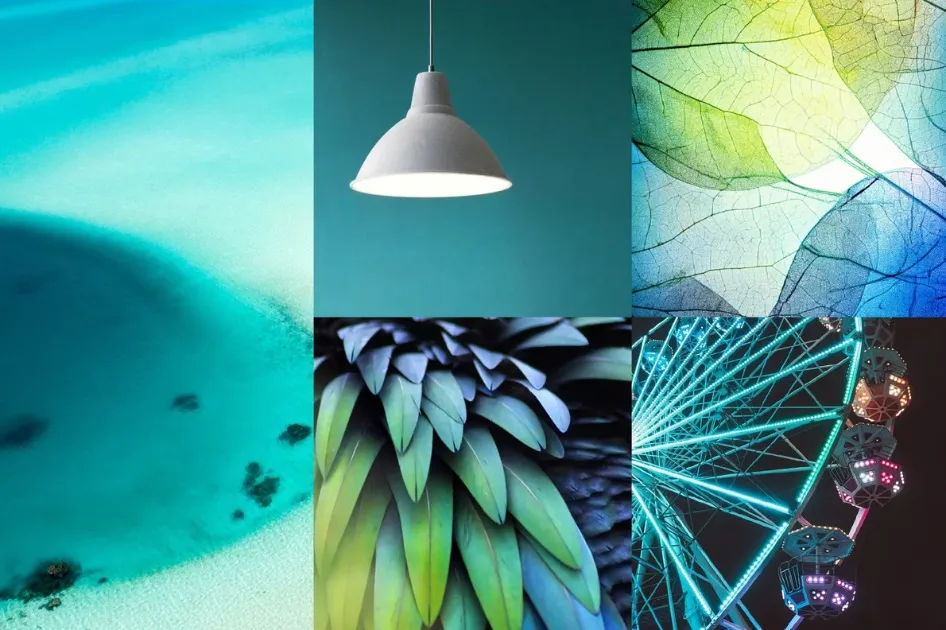 2025 Color of the Year 4